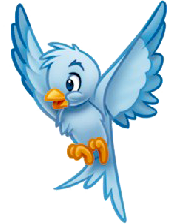 El pajarito de Cenicienta